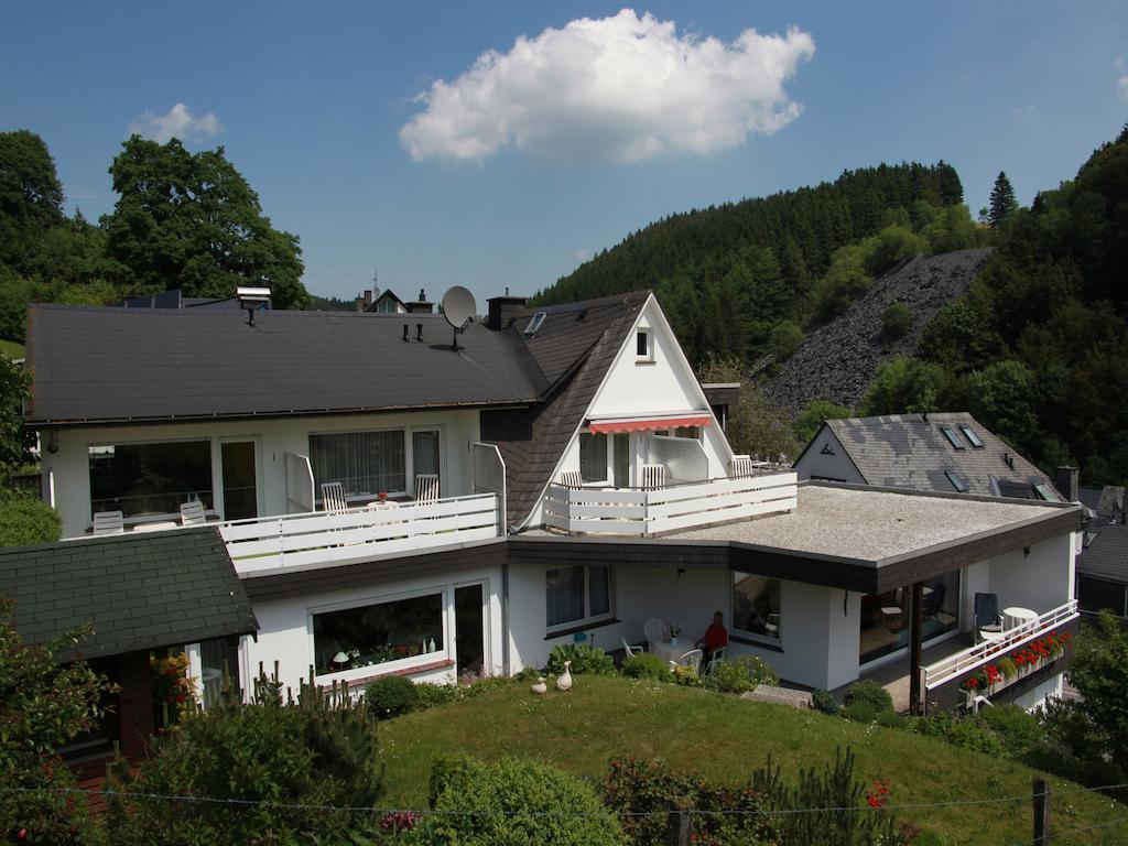 Gastehaus Kramer - Emde Willingen  Buitenkant foto