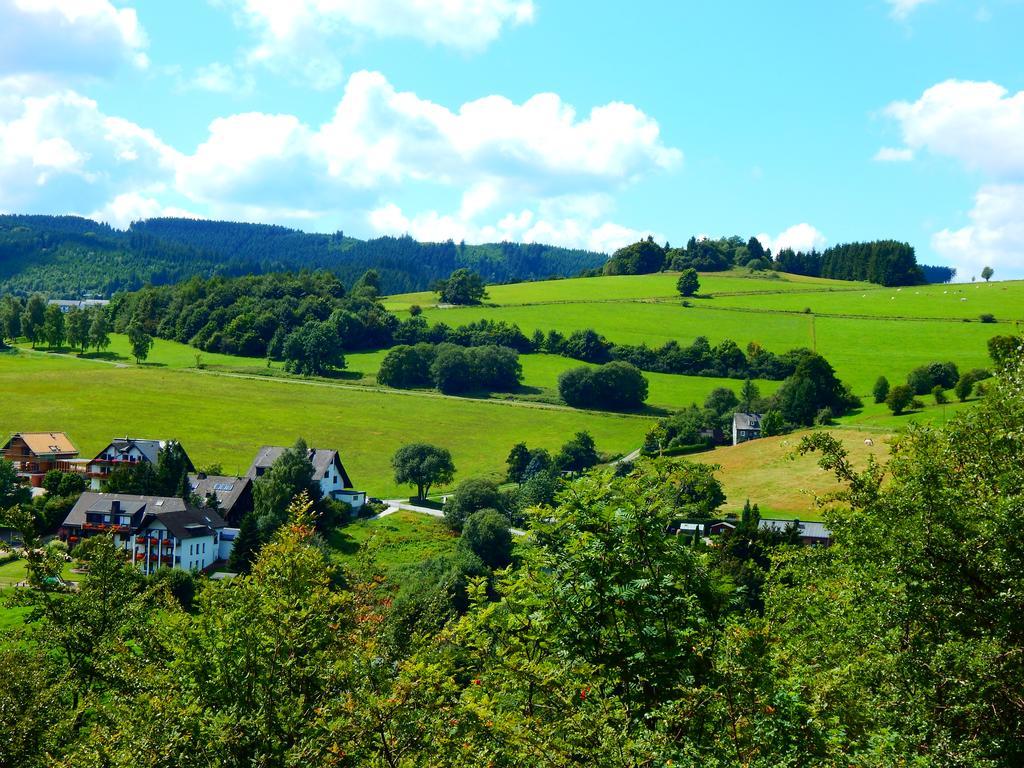 Gastehaus Kramer - Emde Willingen  Buitenkant foto