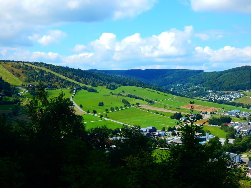 Gastehaus Kramer - Emde Willingen  Buitenkant foto