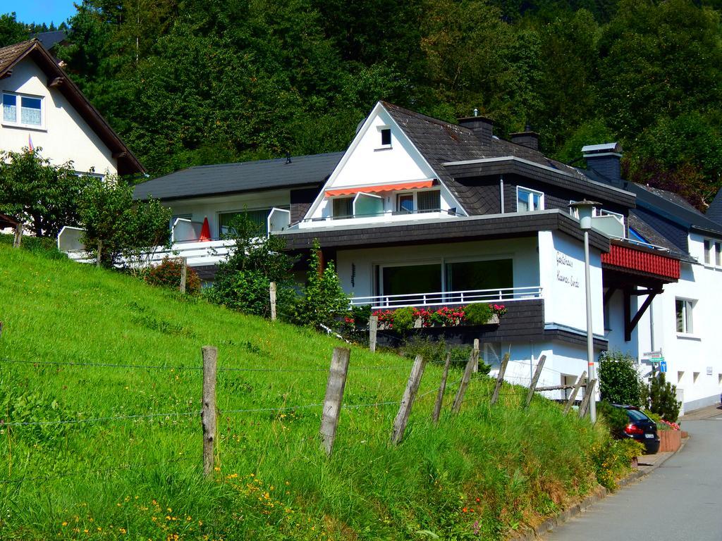 Gastehaus Kramer - Emde Willingen  Buitenkant foto