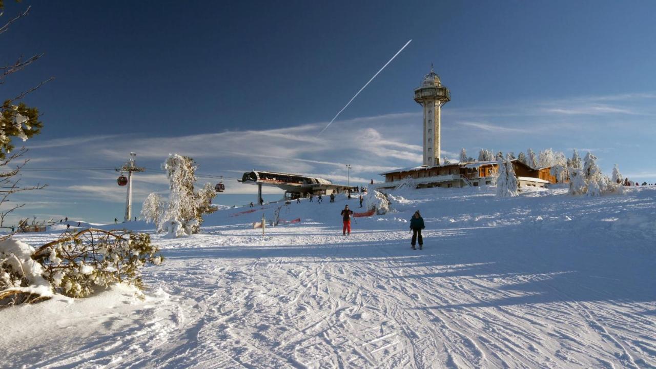 Gastehaus Kramer - Emde Willingen  Buitenkant foto