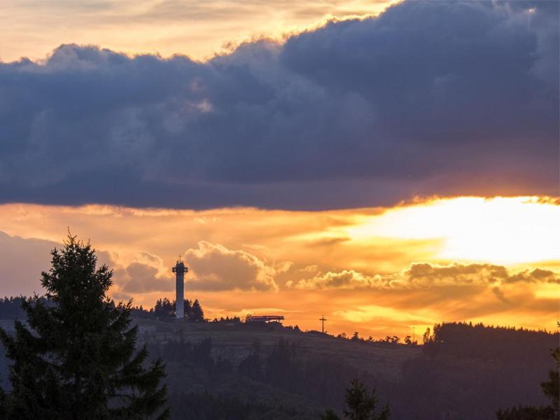 Gastehaus Kramer - Emde Willingen  Buitenkant foto