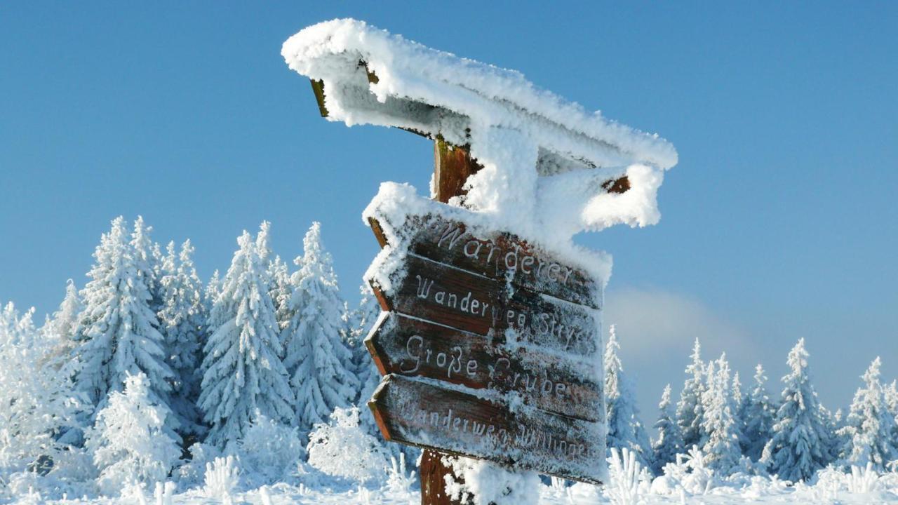 Gastehaus Kramer - Emde Willingen  Buitenkant foto